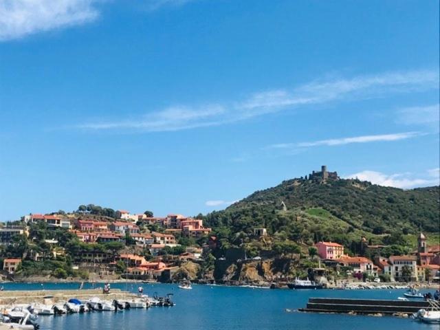 Villa Confort Et Cosy 20 Minutes D'Espagne Plage dʼArgelès Εξωτερικό φωτογραφία