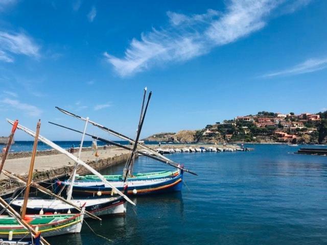 Villa Confort Et Cosy 20 Minutes D'Espagne Plage dʼArgelès Εξωτερικό φωτογραφία