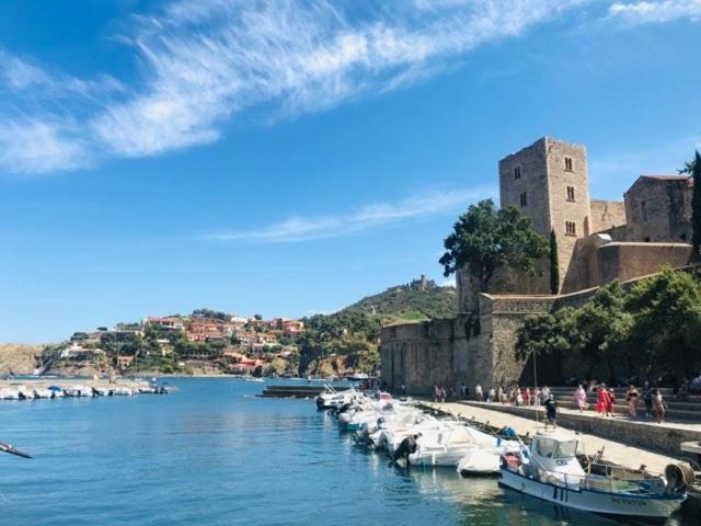 Villa Confort Et Cosy 20 Minutes D'Espagne Plage dʼArgelès Εξωτερικό φωτογραφία